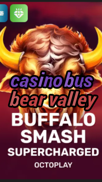 casino bus bear valley-w4cy2mdjlx2bf.com